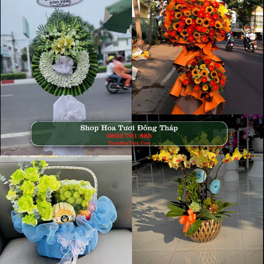Đặt Hoa Tươi Đồng Tháp - Giao Nhanh Tận Nơi
