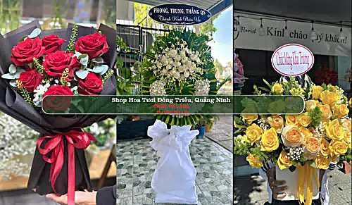 Shop Hoa Tươi Đông Triều - Quảng Ninh (Cũ)