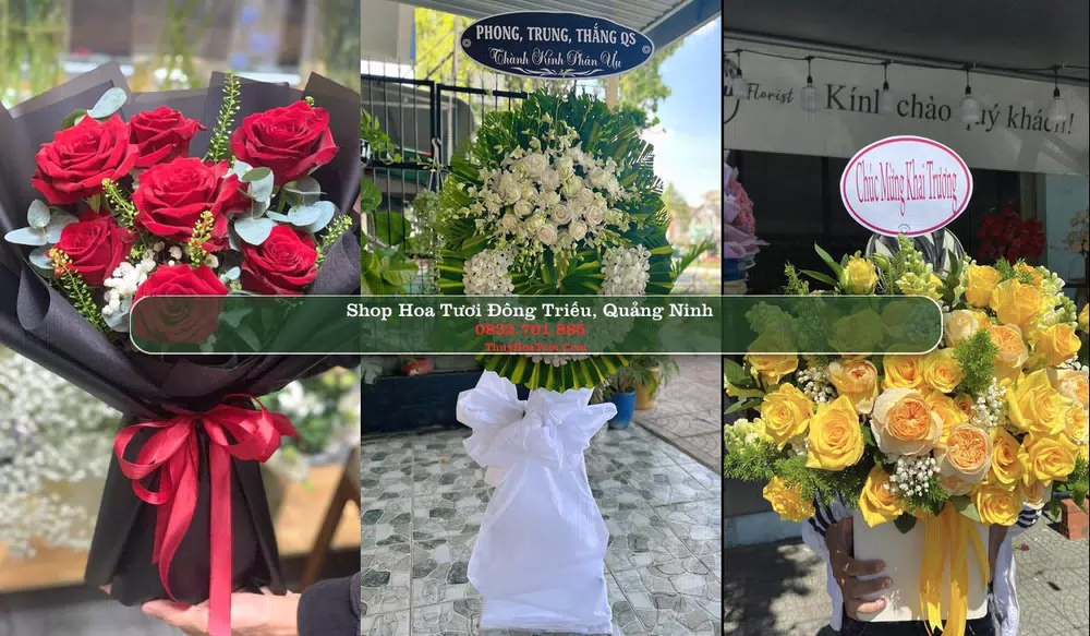 Shop Hoa Tươi Đông Triều - Quảng Ninh (Cũ)