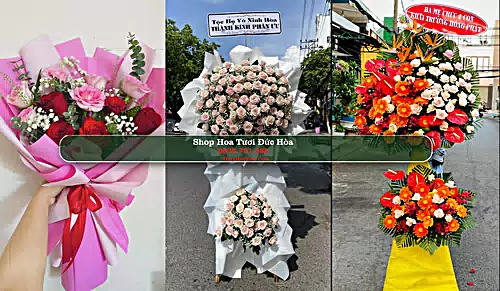 Shop Hoa Tươi Đức Hòa - Huyện Đức Hòa (Cũ)