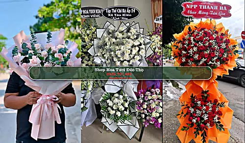 Shop Hoa Tươi Đức Thọ - Huyện Đức Thọ (Cũ)