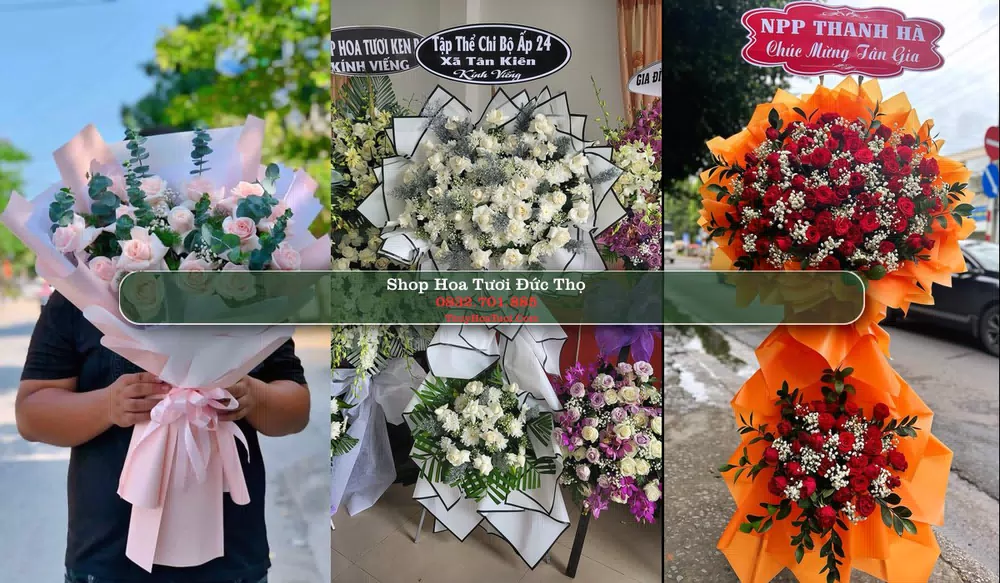 Shop Hoa Tươi Đức Thọ - Huyện Đức Thọ (Cũ)