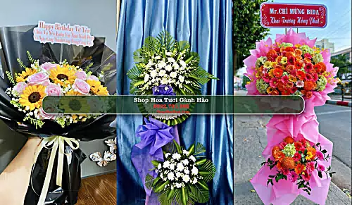 Shop Hoa Tươi Gành Hào - Huyện Đông Hải (Cũ)