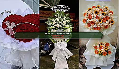 Shop Hoa Tươi Gia Khánh - Huyện Bình Xuyên (Cũ)