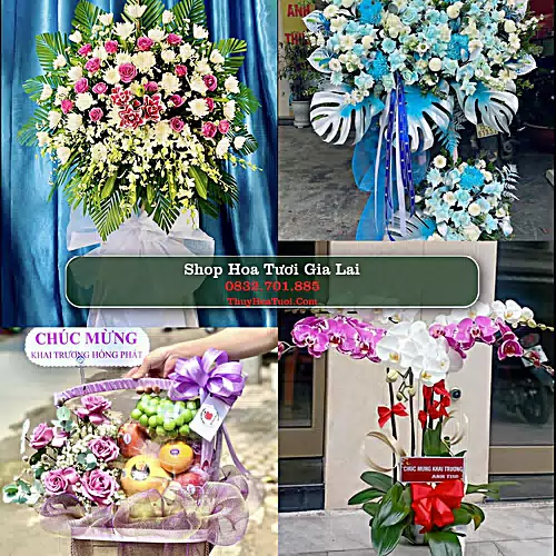 Shop Hoa Tươi Gia Lai - Đặt Hoa Online Giao Nhanh