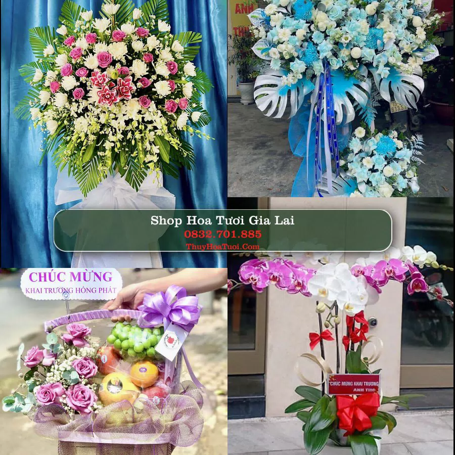 Shop Hoa Tươi Gia Lai - Đặt Hoa Online Giao Nhanh