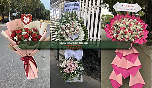 Shop Hoa Tươi Giá Rai - Bạc Liêu (Cũ)