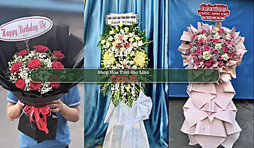 Shop Hoa Tươi Gio Linh - Huyện Gio Linh (Cũ)
