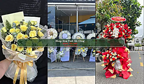 Shop Hoa Tươi Gò Công - Tiền Giang (Cũ)