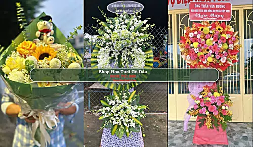 Shop Hoa Tươi Gò Dầu - Huyện Gò Dầu (Cũ)