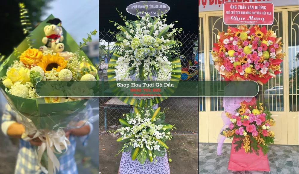 Shop Hoa Tươi Gò Dầu - Huyện Gò Dầu (Cũ)