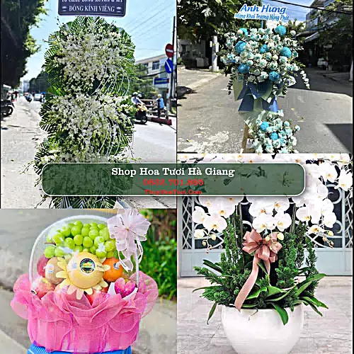 Đặt Hoa Tươi Hà Giang - Giao Nhanh Tận Nơi
