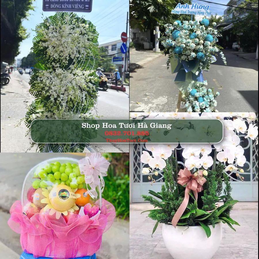 Đặt Hoa Tươi Hà Giang - Giao Nhanh Tận Nơi