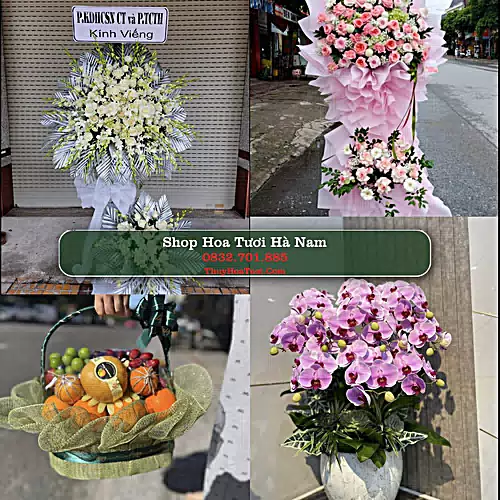 Shop Hoa Tươi Hà Nam - Đặt Hoa Online Giao Nhanh