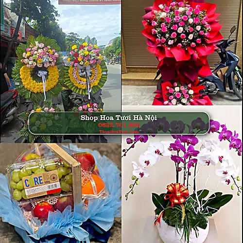 Shop Hoa Tươi Hà Nội