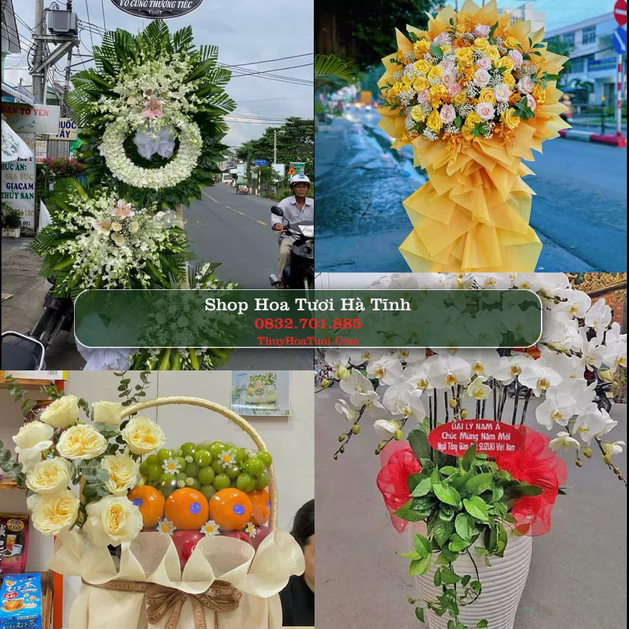 Shop Hoa Tươi Hà Tĩnh - Hoa Đẹp Cho Mọi Dịp