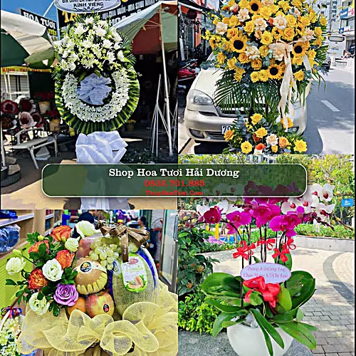 Shop Hoa Tươi Hải Dương - Điện Hoa Giao Tận Nơi
