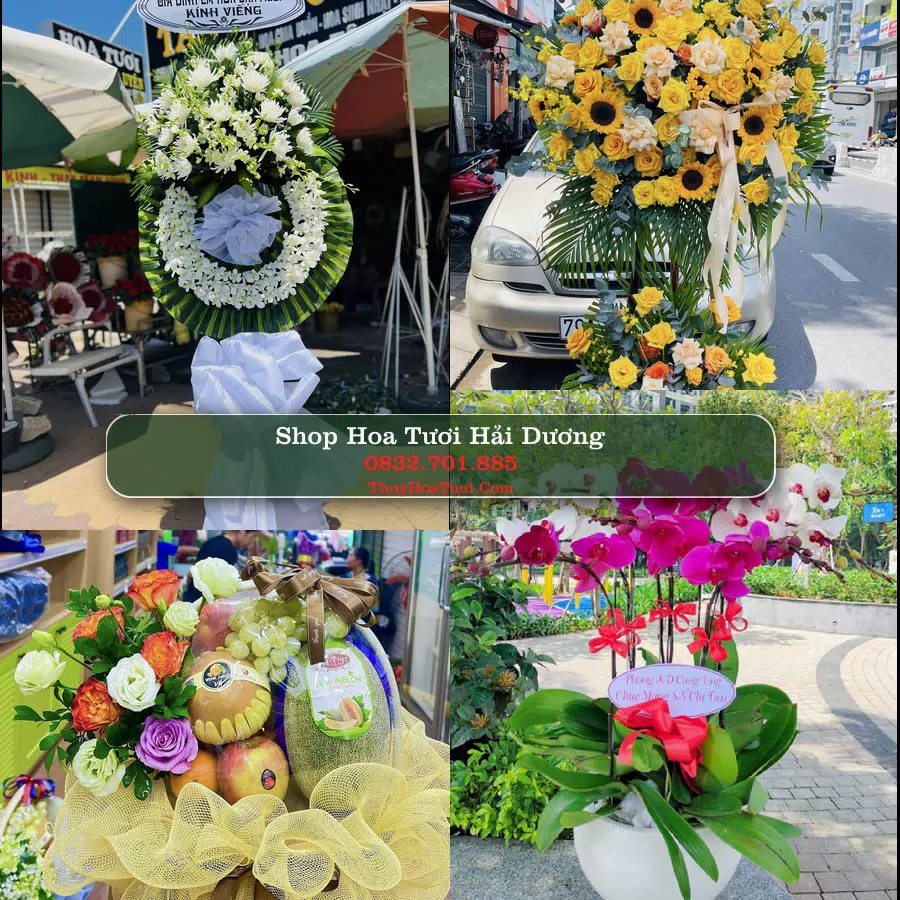 Shop Hoa Tươi Hải Dương - Điện Hoa Giao Tận Nơi