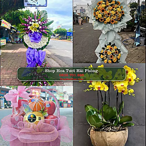 Đặt Hoa Tươi Hải Phòng - Giao Nhanh Tận Nơi