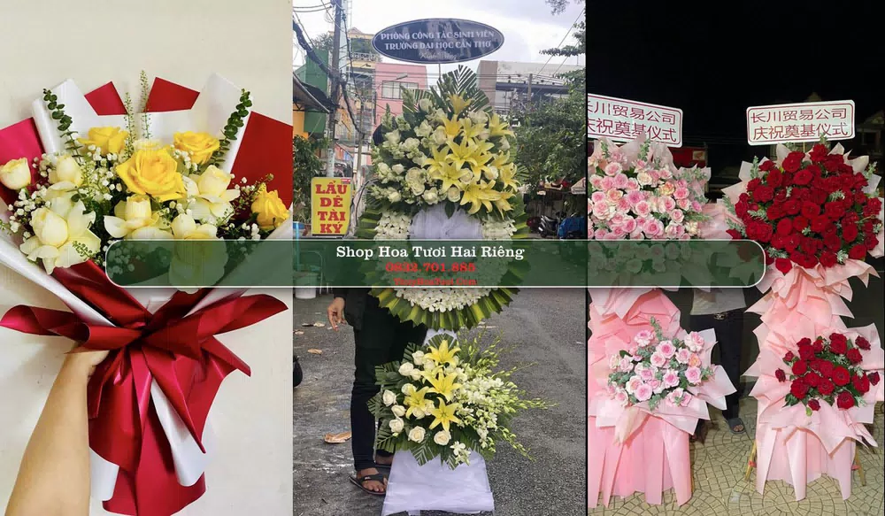 Shop Hoa Tươi Hai Riêng - Huyện Sông Hinh (Cũ)