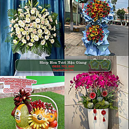 Shop Hoa Tươi Hậu Giang