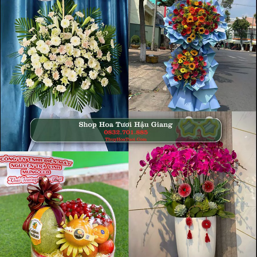 Shop Hoa Tươi Hậu Giang
