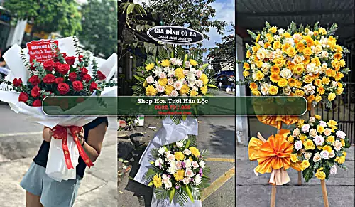 Shop Hoa Tươi Hậu Lộc - Huyện Hậu Lộc (Cũ)
