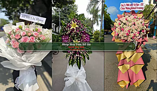 Shop Hoa Tươi Hồ Xá - Huyện Vĩnh Linh (Cũ)