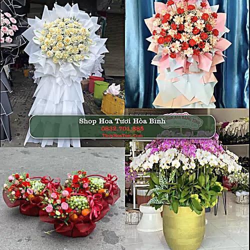 Shop Hoa Tươi Hòa Bình - Đặt Hoa Online Giao Nhanh