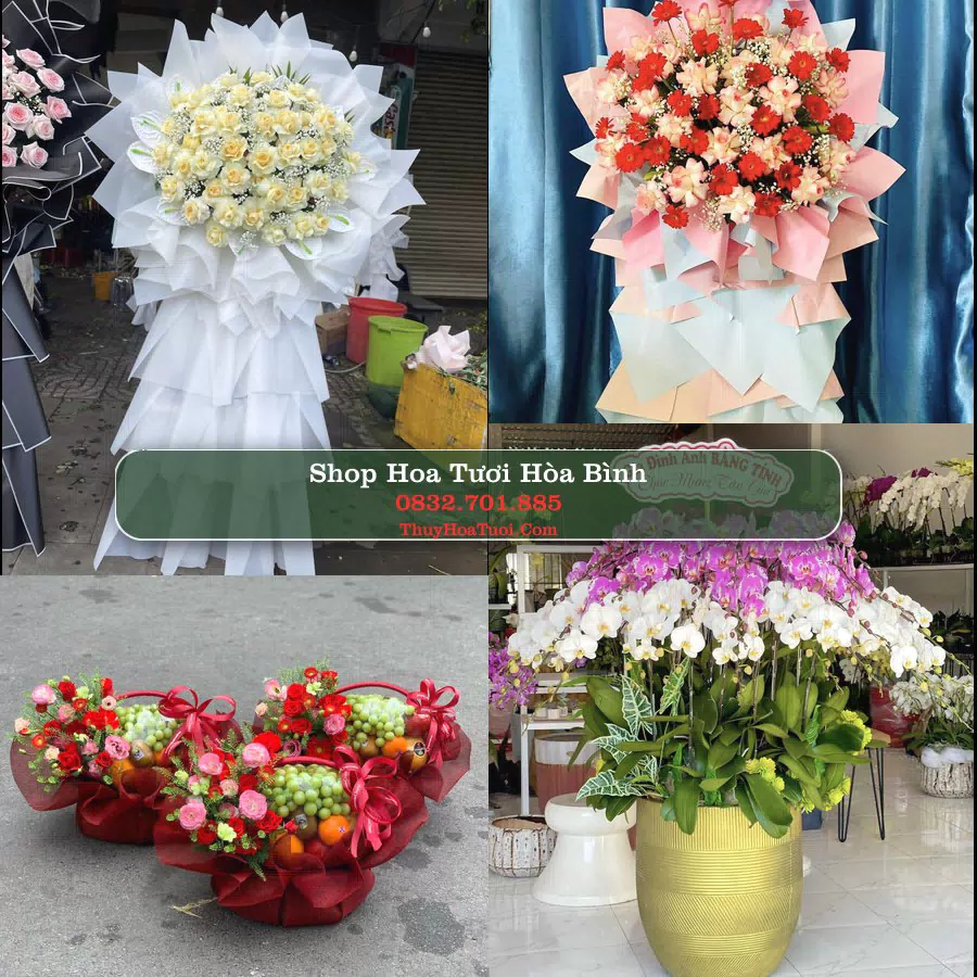 Shop Hoa Tươi Hòa Bình - Đặt Hoa Online Giao Nhanh