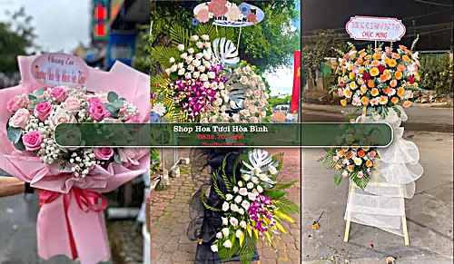 Shop Hoa Tươi Hòa Bình - Huyện Hoà Bình (Cũ)