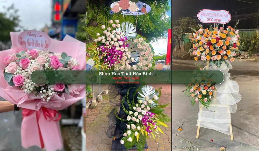Shop Hoa Tươi Hòa Bình - Huyện Hoà Bình (Cũ)