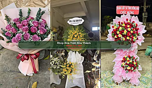 Shop Hoa Tươi Hòa Thành - Tây Ninh (Cũ)