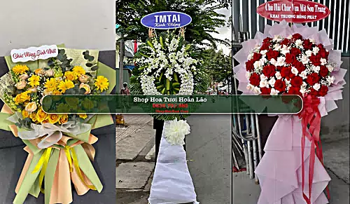 Shop Hoa Tươi Hoàn Lão - Huyện Bố Trạch (Cũ)
