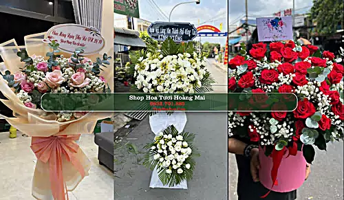 Shop Hoa Tươi Hoàng Mai - Nghệ An (Cũ)