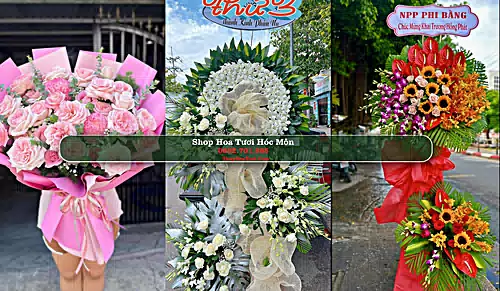 Shop Hoa Tươi Hóc Môn - Huyện Hóc Môn (Cũ)