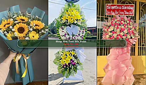 Shop Hoa Tươi Hồi Xuân - Huyện Quan Hóa (Cũ)