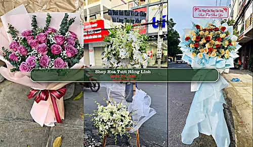 Shop Hoa Tươi Hồng Lĩnh - Hà Tĩnh (Cũ)