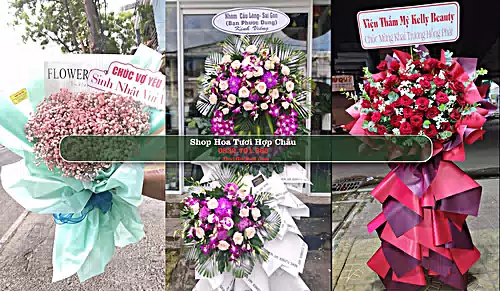 Shop Hoa Tươi Hợp Châu - Huyện Tam Đảo (Cũ)