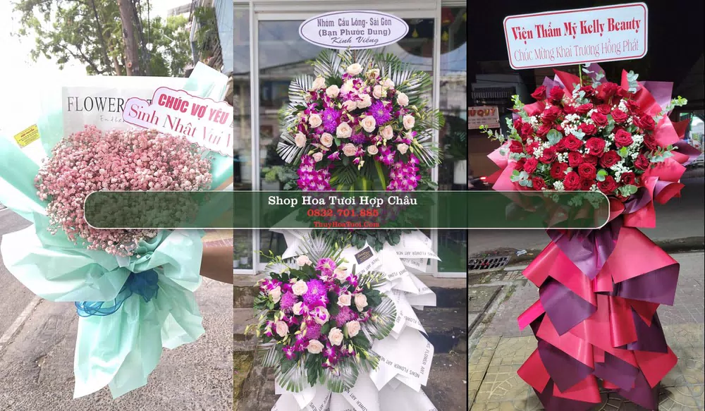 Shop Hoa Tươi Hợp Châu - Huyện Tam Đảo (Cũ)