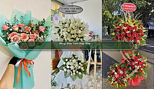 Shop Hoa Tươi Hợp Hòa - Huyện Tam Dương (Cũ)