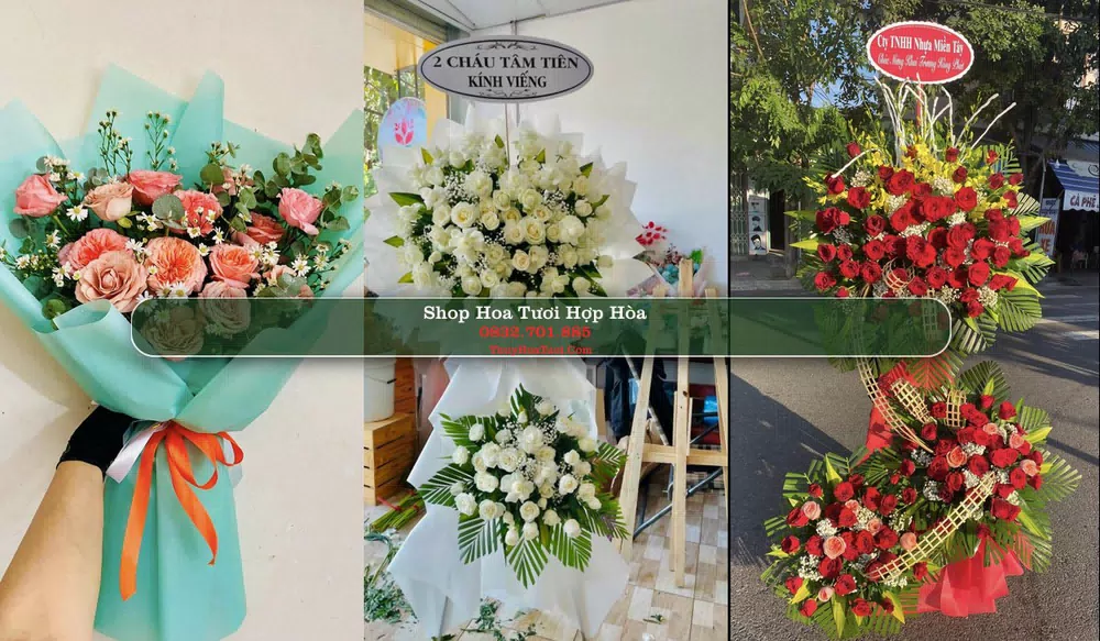 Shop Hoa Tươi Hợp Hòa - Huyện Tam Dương (Cũ)