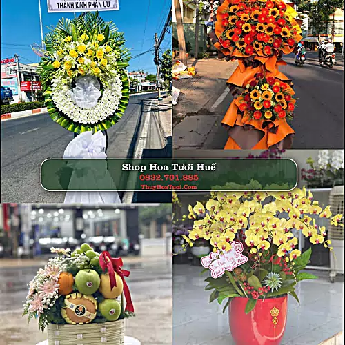Shop Hoa Tươi Huế - Điện Hoa Giao Tận Nơi