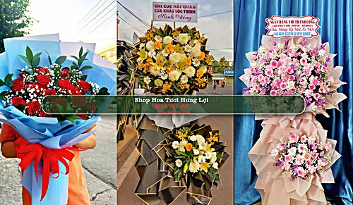 Shop Hoa Tươi Hưng Lợi - Huyện Thạnh Trị (Cũ)