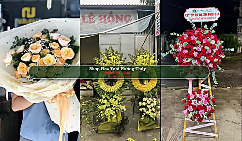 Shop Hoa Tươi Hương Thủy - Thừa Thiên Huế (Cũ)