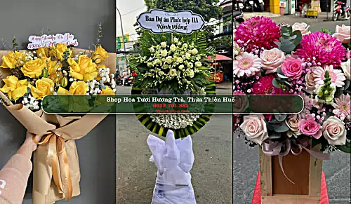 Shop Hoa Tươi Hương Trà - Thừa Thiên Huế (Cũ)