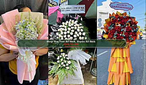 Shop Hoa Tươi Kế Sách - Huyện Kế Sách (Cũ)