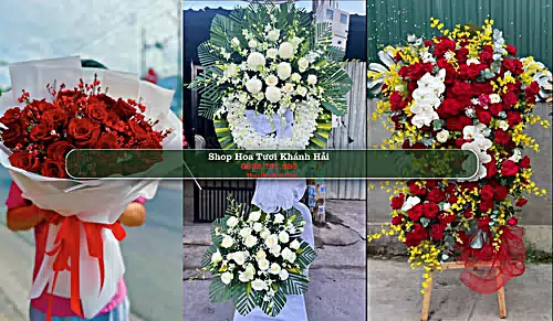 Shop Hoa Tươi Khánh Hải - Huyện Ninh Hải (Cũ)