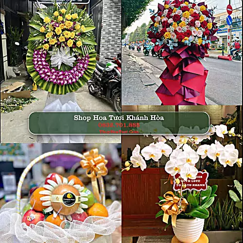 Shop Hoa Tươi Khánh Hòa - Điện Hoa Giao Tận Nơi