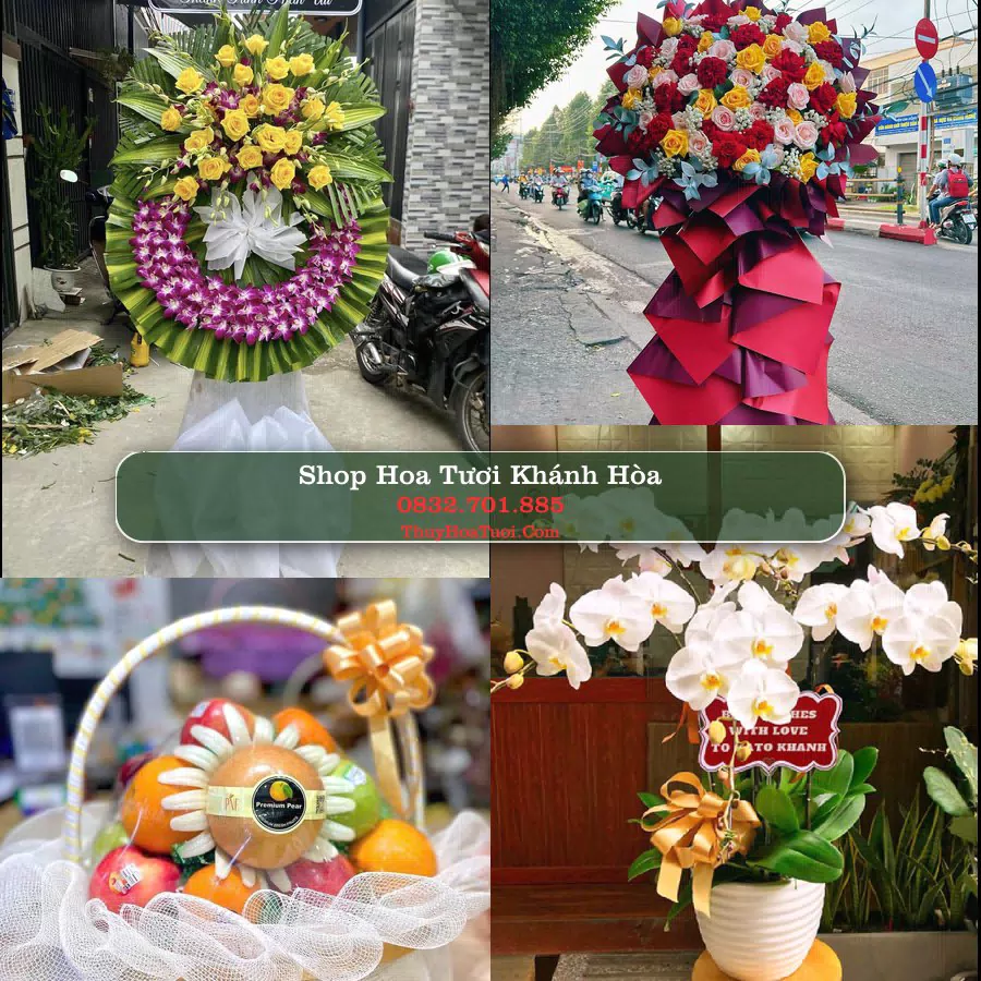 Shop Hoa Tươi Khánh Hòa - Điện Hoa Giao Tận Nơi